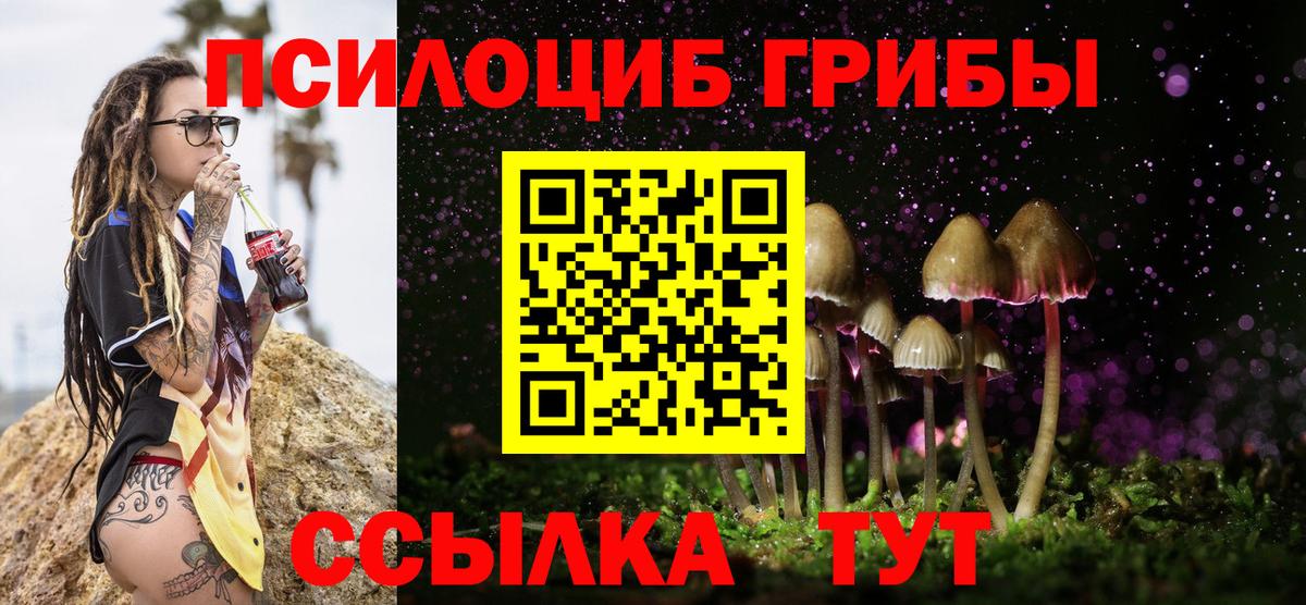 Галлюциногенные грибы Psilocybe Великий Устюг