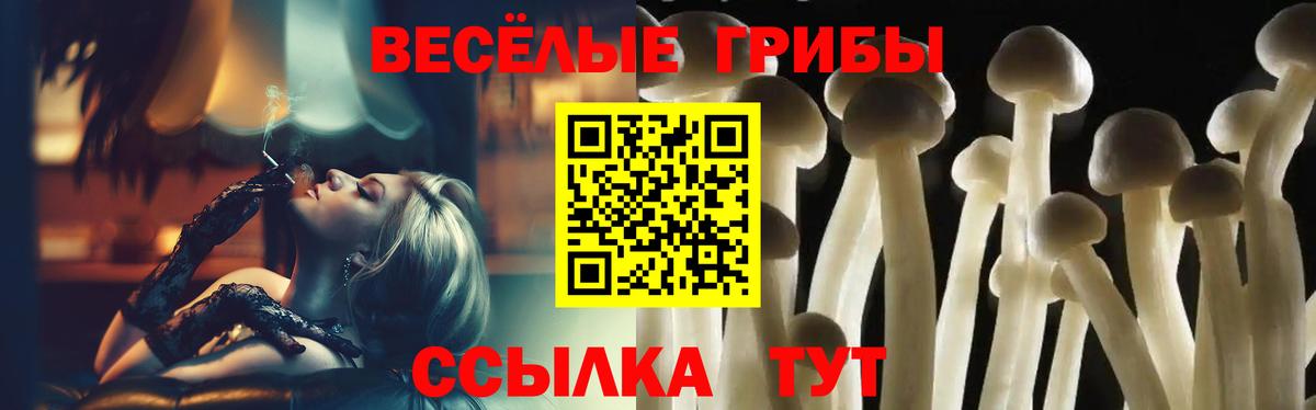 Великий Устюг  Псилоцибиновые грибы Psilocybine cubensis  Вход с VPN 